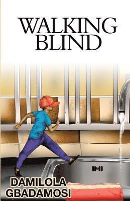 bokomslag Walking Blind