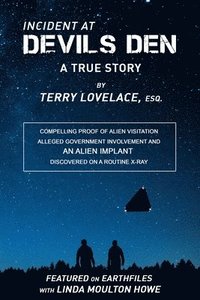 bokomslag Incident at Devils Den, a true story by Terry Lovelace, Esq.