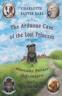 bokomslag The Arduous Case of the Lost Princess