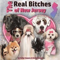 bokomslag The Real Bitches of New Jersey