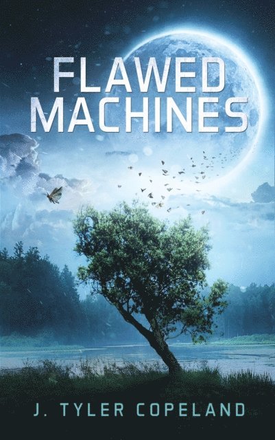 Flawed Machines 1