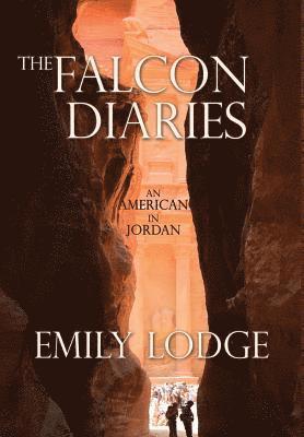 bokomslag Falcon Diaries