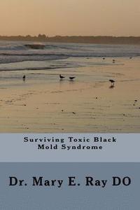 bokomslag Surviving Toxic Black Mold Syndrome