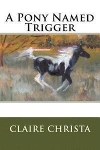 bokomslag A Pony Named Trigger