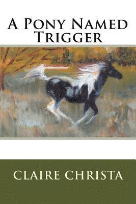 A Pony Named Trigger 1