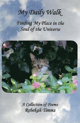 My Daily Walk: Finding My Place in the Soul of the Universe
