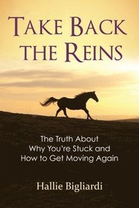 bokomslag Take Back the Reins: The Truth About Why You're Stuck and How to Get Moving Again