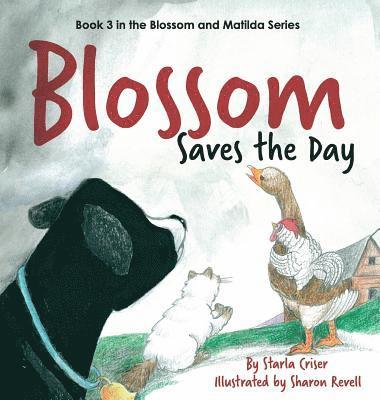 bokomslag Blossom Saves the Day