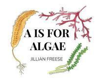 bokomslag A is for Algae