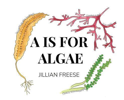 A is for Algae 1