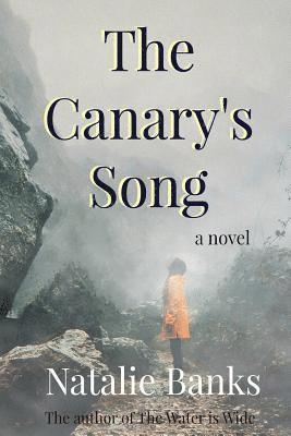 bokomslag Canary's Song