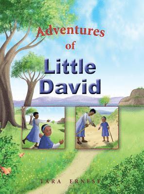 Adventures of Little David 1