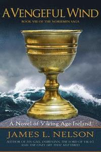 bokomslag A Vengeful Wind: A Novel of Viking Age Ireland