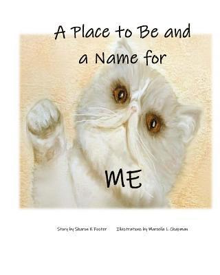 A Place to Be and a Name for Me: A children's picture book story about one cat's journey and hope to find a forever home 1