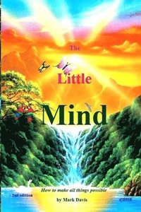 bokomslag The Little Mind: How to make all things possible