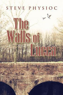 bokomslag Walls of Lucca