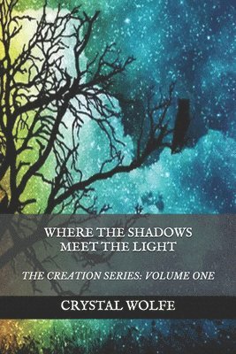 Crystal Wolfe - Where the Shadows Meet the Light, Häftad