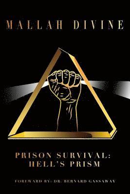 Prison Survival 1