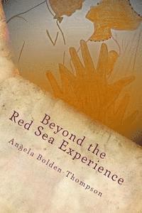 bokomslag Beyond The Red Sea Experience
