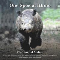 bokomslag One Special Rhino: The Story of Andatu
