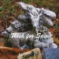 bokomslag Wish for Spirit: visual poem