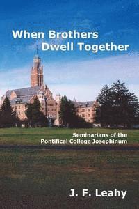 bokomslag When Brothers Dwell Together: Seminarians of the Pontifical College Josephinum