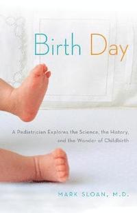 bokomslag Birth Day