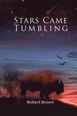 Stars Came Tumbling 1