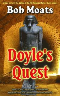 bokomslag Doyle's Quest