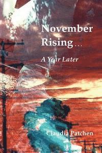 Claudia Patchen - November Rising: A Year Later, Häftad