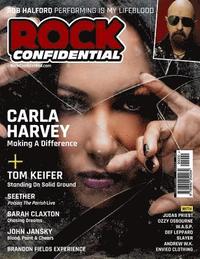 bokomslag Rock Confidential