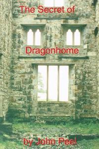 bokomslag The Secret Of Dragonhome