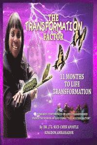 bokomslag The Transformation Factor