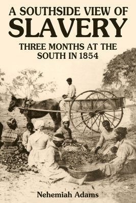 Nehemiah Adams - A Southside View of Slavery, Häftad