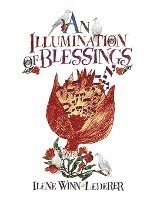 bokomslag An Illumination of Blessings
