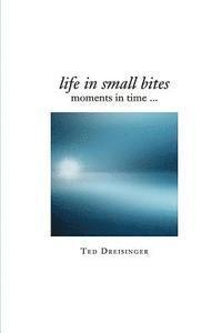 Life in Small Bites: Moments in time... 1