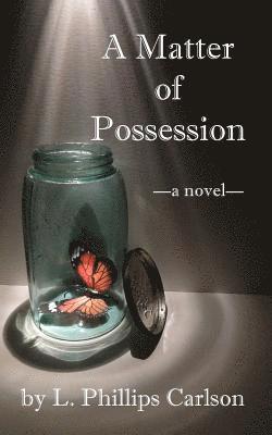 bokomslag Matter of Possession