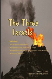 bokomslag The Three Israels