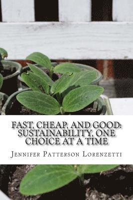 bokomslag Fast, Cheap, and Good: Sustainability, One Choice at a Time