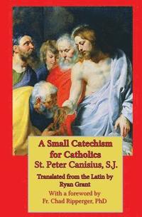 bokomslag A Small Catechism for Catholics