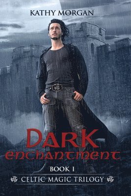 bokomslag Dark Enchantment