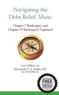 bokomslag Navigating the Debt Relief Maze: Chapter 7 Bankruptcy and Chapter 13 Bankruptcy