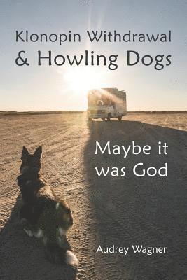 bokomslag Klonopin Withdrawal & Howling Dogs: Maybe it was God