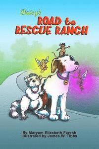 bokomslag Daisy's Road to Rescue Ranch