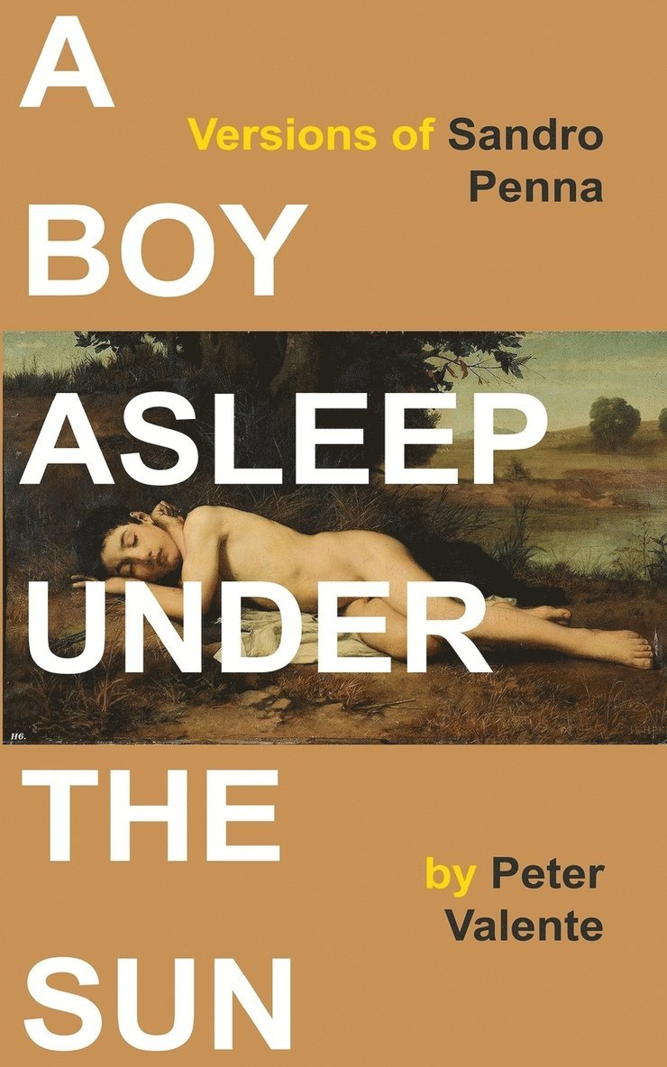 Peter Valente - Boy Asleep Under the Sun, Häftad