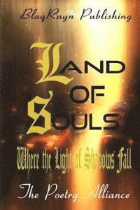 bokomslag Land of Souls: Where the Light of Shadows Fall