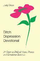 bokomslag Ditch Depression Devotional: 31 Days to Biblical Hope, Peace and Emotional Balance