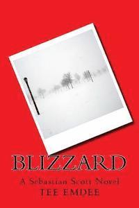 bokomslag Blizzard: A Sebastian Scott Novel