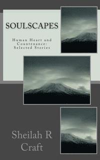 bokomslag Soulscapes