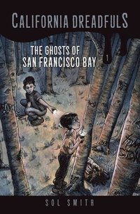 bokomslag The Ghosts of San Francisco Bay